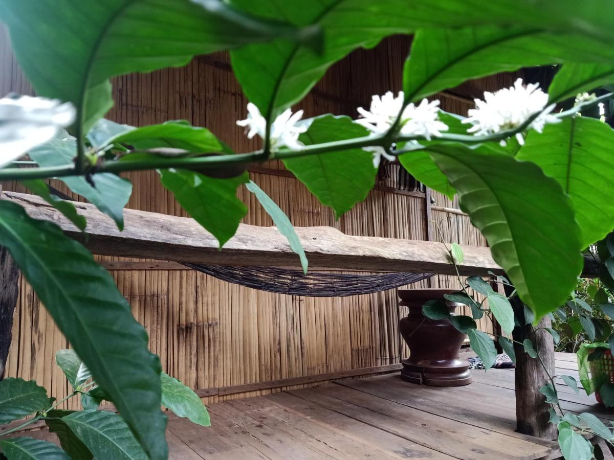 Tribal Village Homestay & Trekking Banlung Eksteriør bilde