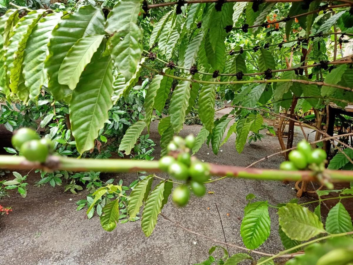 Tribal Village Homestay & Trekking Banlung Eksteriør bilde