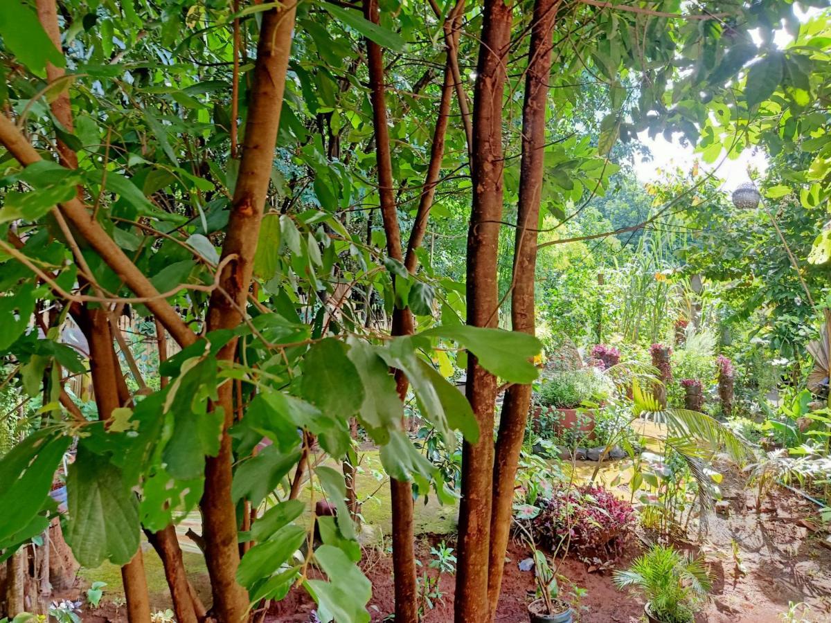 Tribal Village Homestay & Trekking Banlung Eksteriør bilde