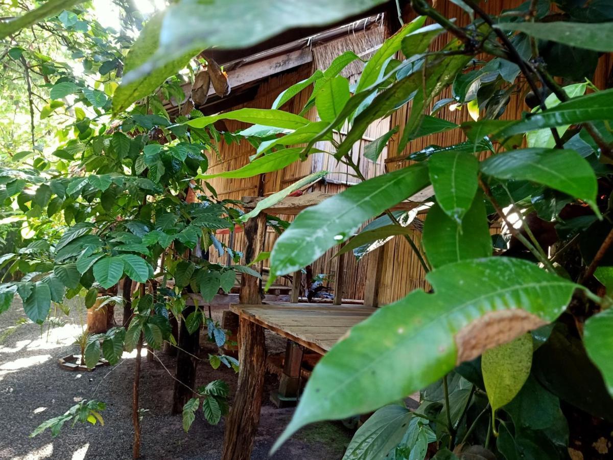 Tribal Village Homestay & Trekking Banlung Eksteriør bilde