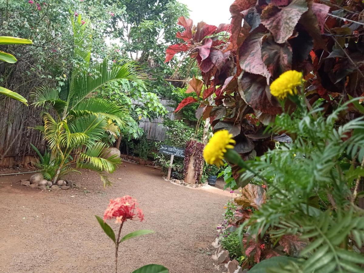 Tribal Village Homestay & Trekking Banlung Eksteriør bilde
