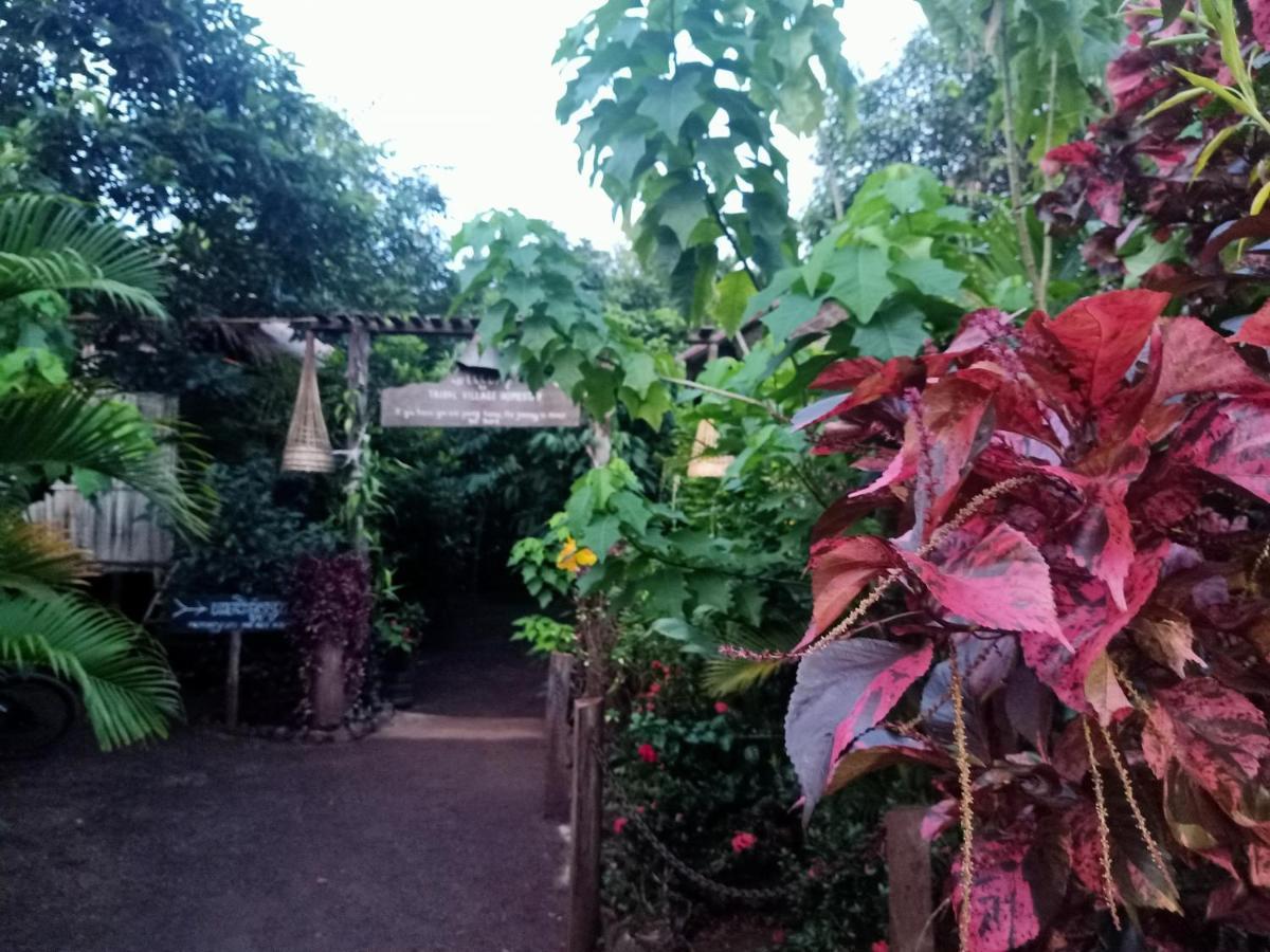 Tribal Village Homestay & Trekking Banlung Eksteriør bilde