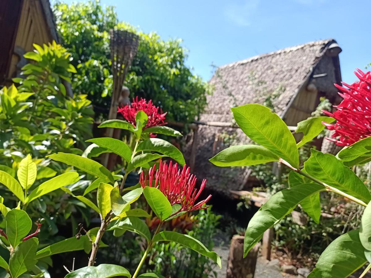 Tribal Village Homestay & Trekking Banlung Eksteriør bilde