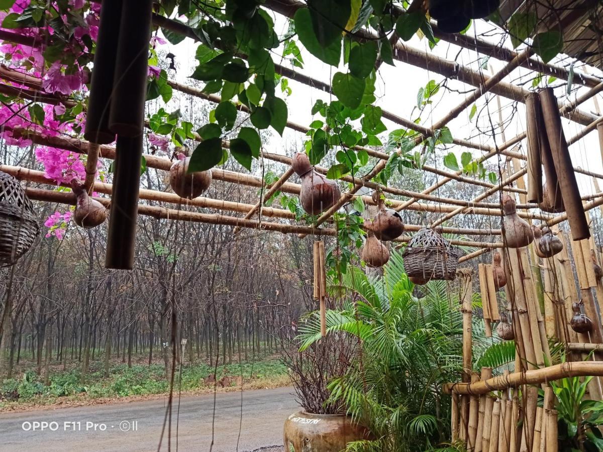 Tribal Village Homestay & Trekking Banlung Eksteriør bilde