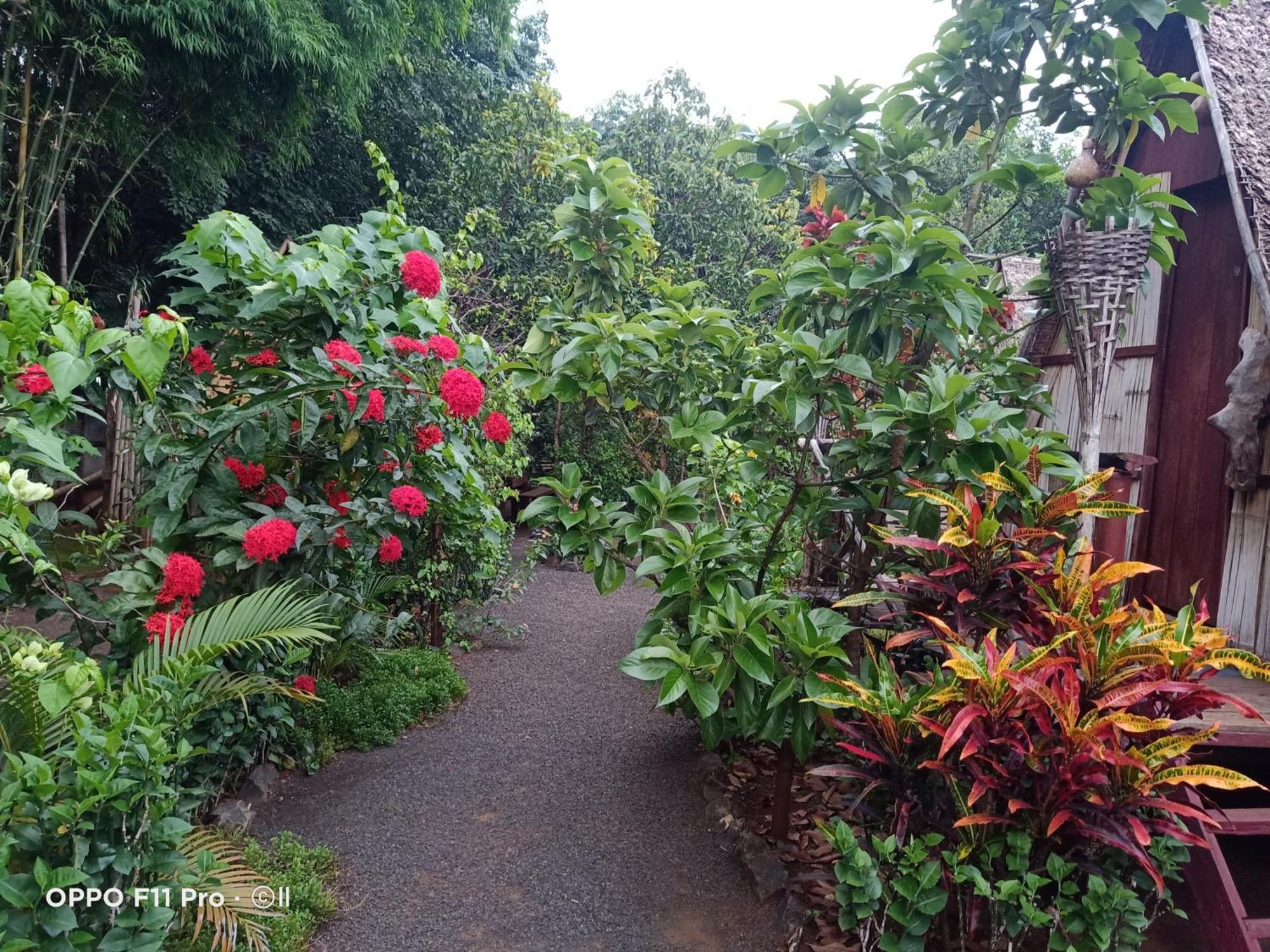 Tribal Village Homestay & Trekking Banlung Eksteriør bilde