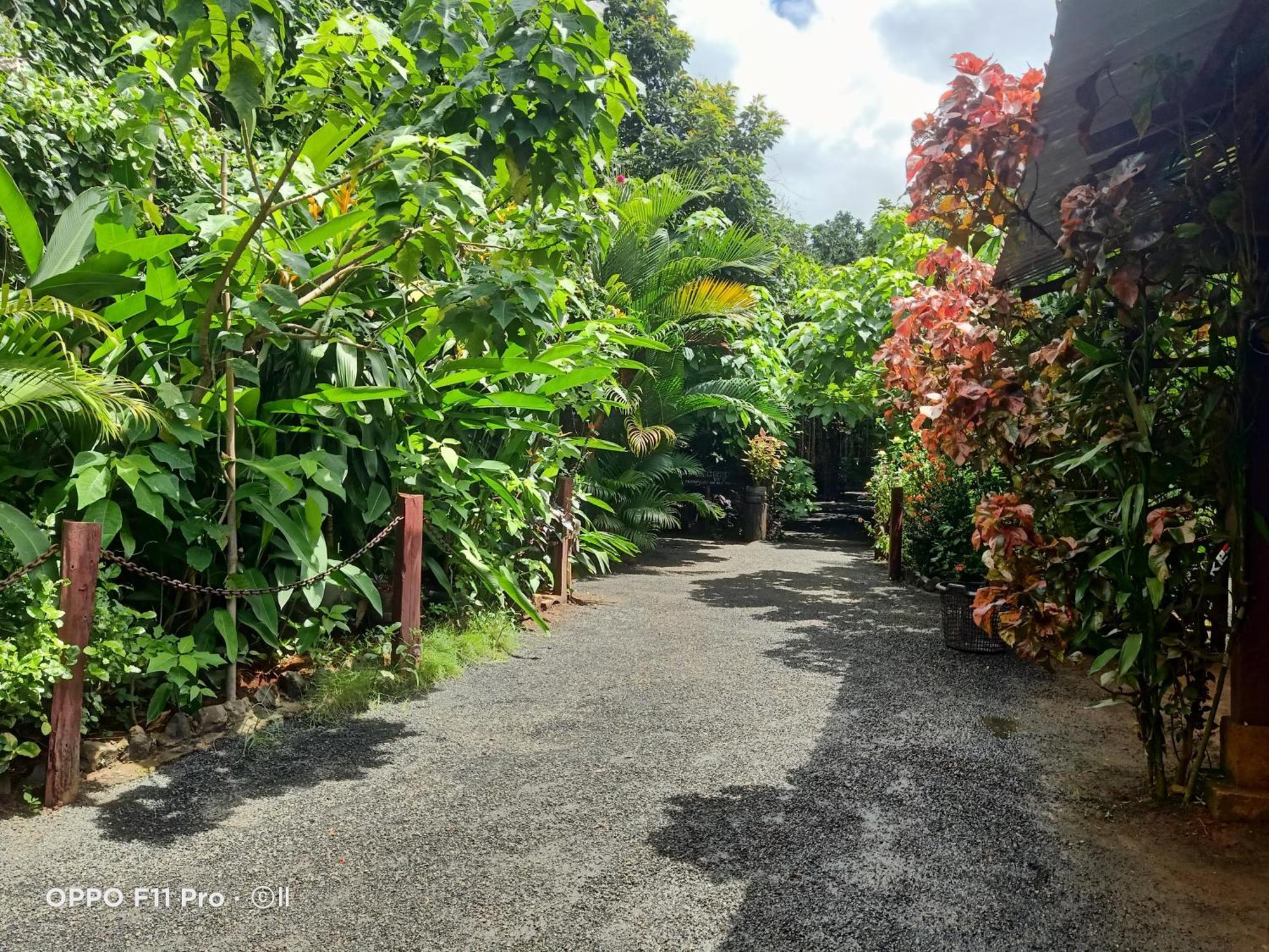 Tribal Village Homestay & Trekking Banlung Eksteriør bilde