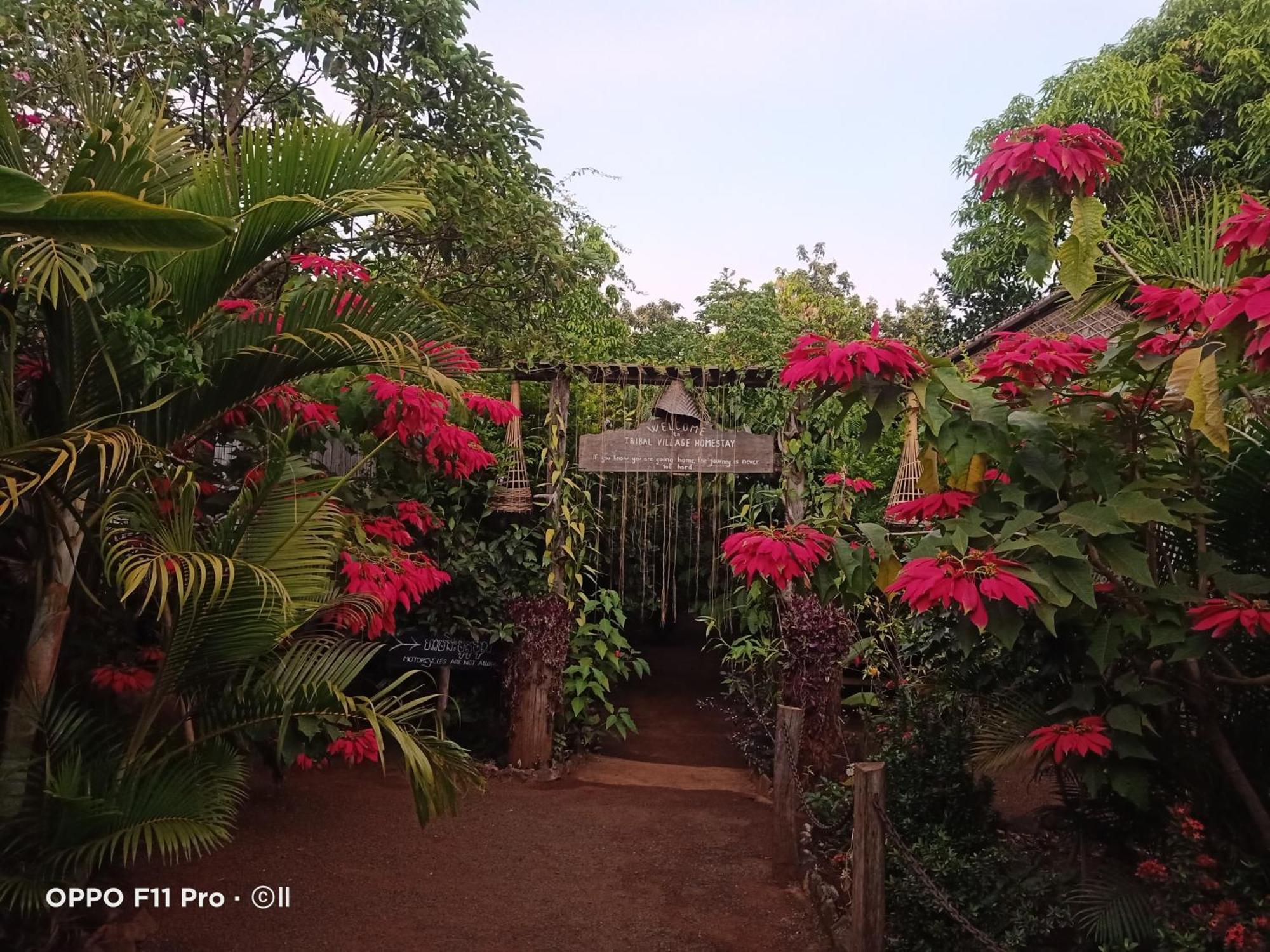 Tribal Village Homestay & Trekking Banlung Rom bilde