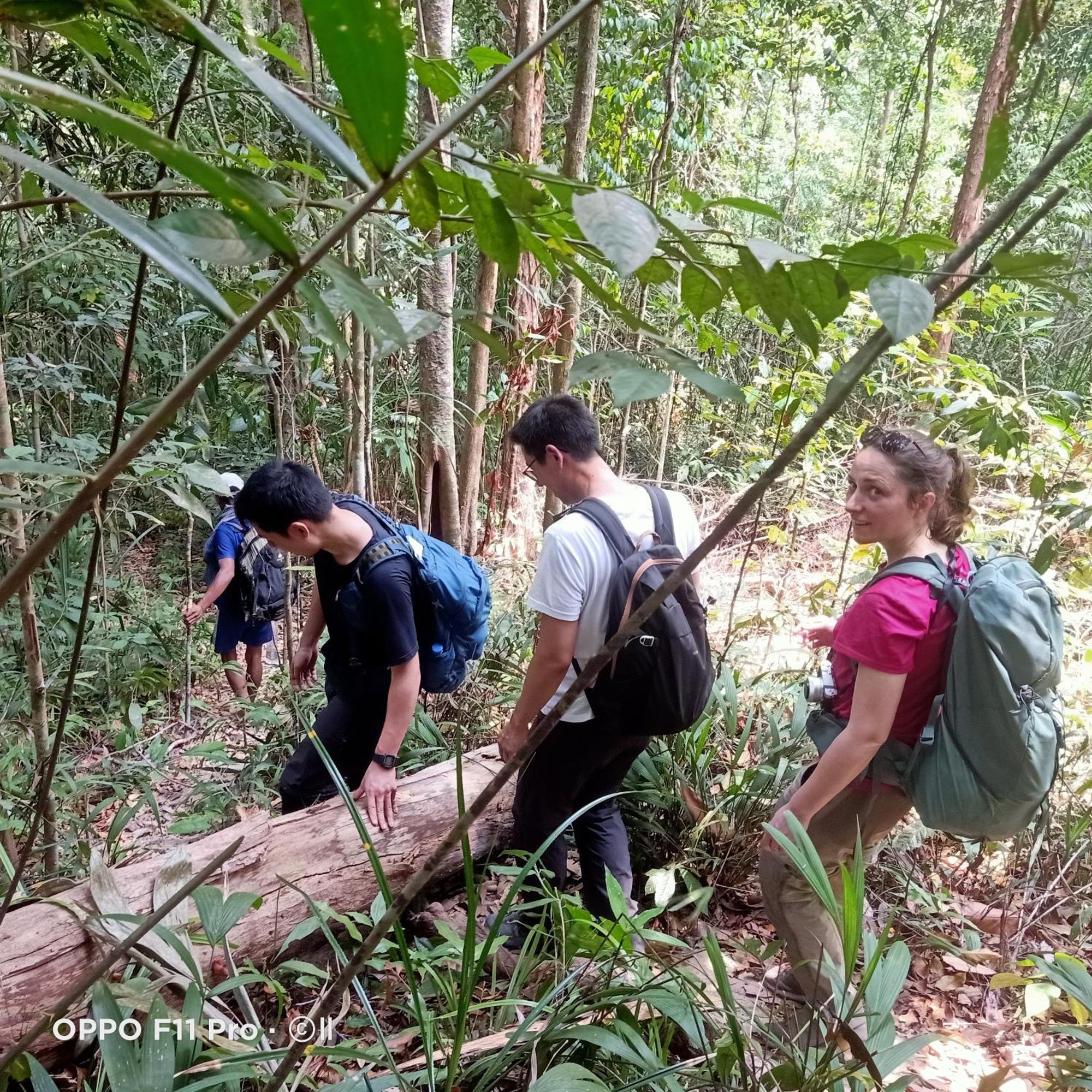 Tribal Village Homestay & Trekking Banlung Eksteriør bilde