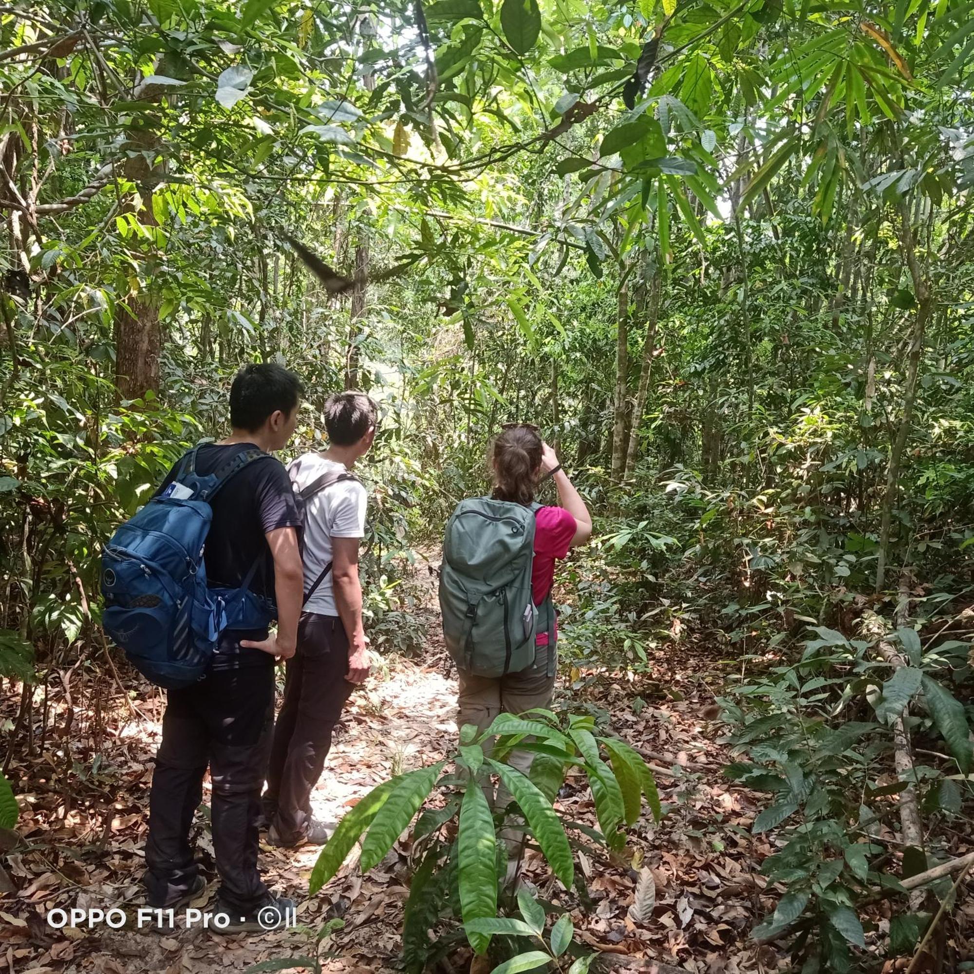 Tribal Village Homestay & Trekking Banlung Eksteriør bilde